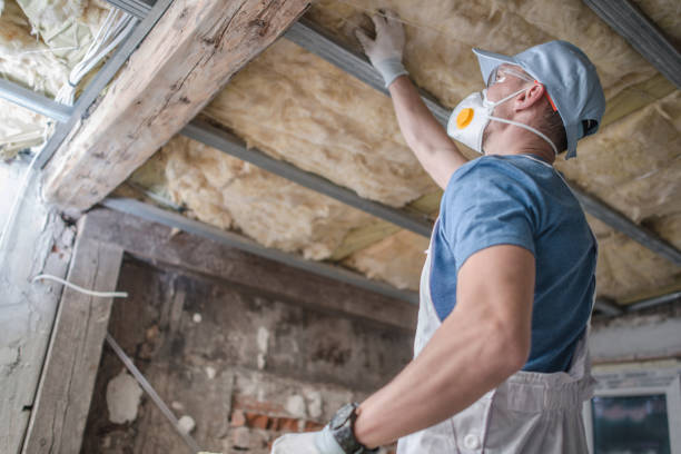 Types of Insulation We Offer in Springfield, MA